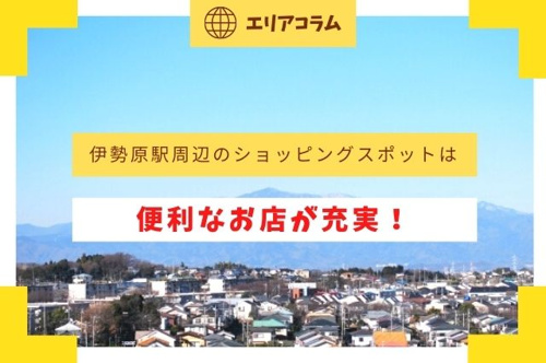 伊勢原駅周辺のショッピングスポットは便利なお店が充実！