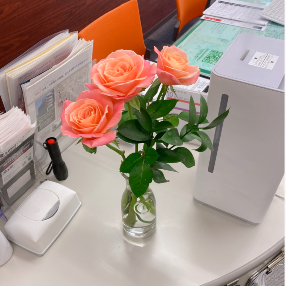 花あふれるふくおかの画像