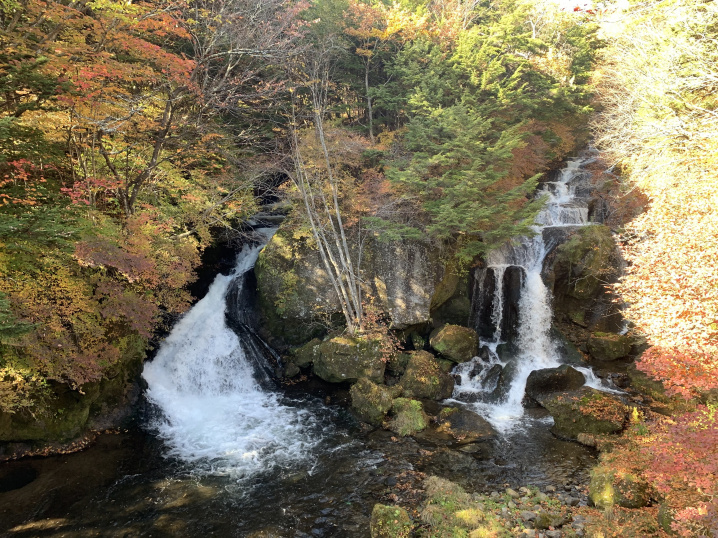 悲報！魅力度ランキングで栃木県が最下位に。の画像