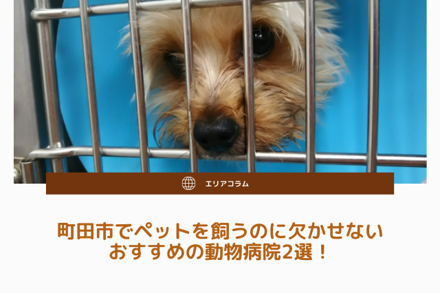 町田市でペットを飼うのに欠かせないおすすめの動物病院2選！の画像