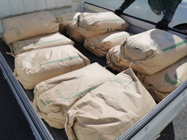 収穫量の約半分くらいでしょうか？