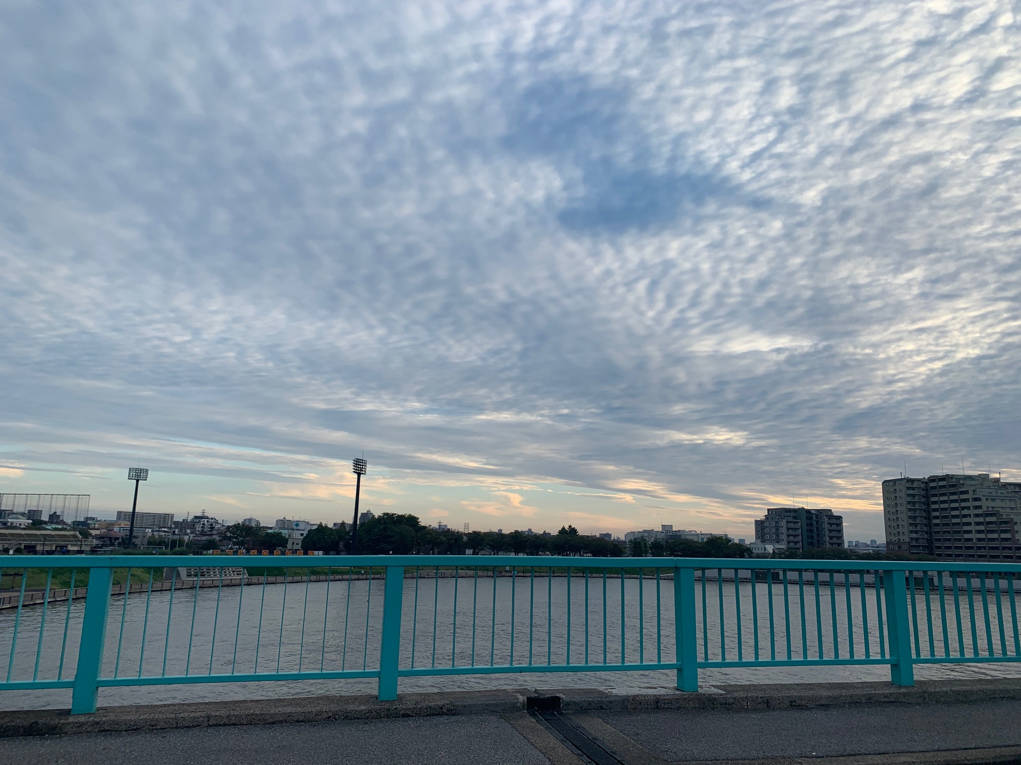 うろこ雲(^^♪の画像