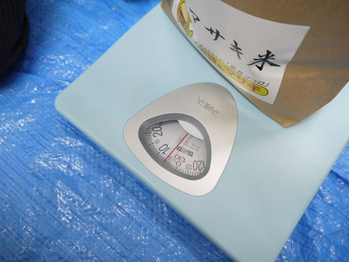 ちょうど5kgになりました