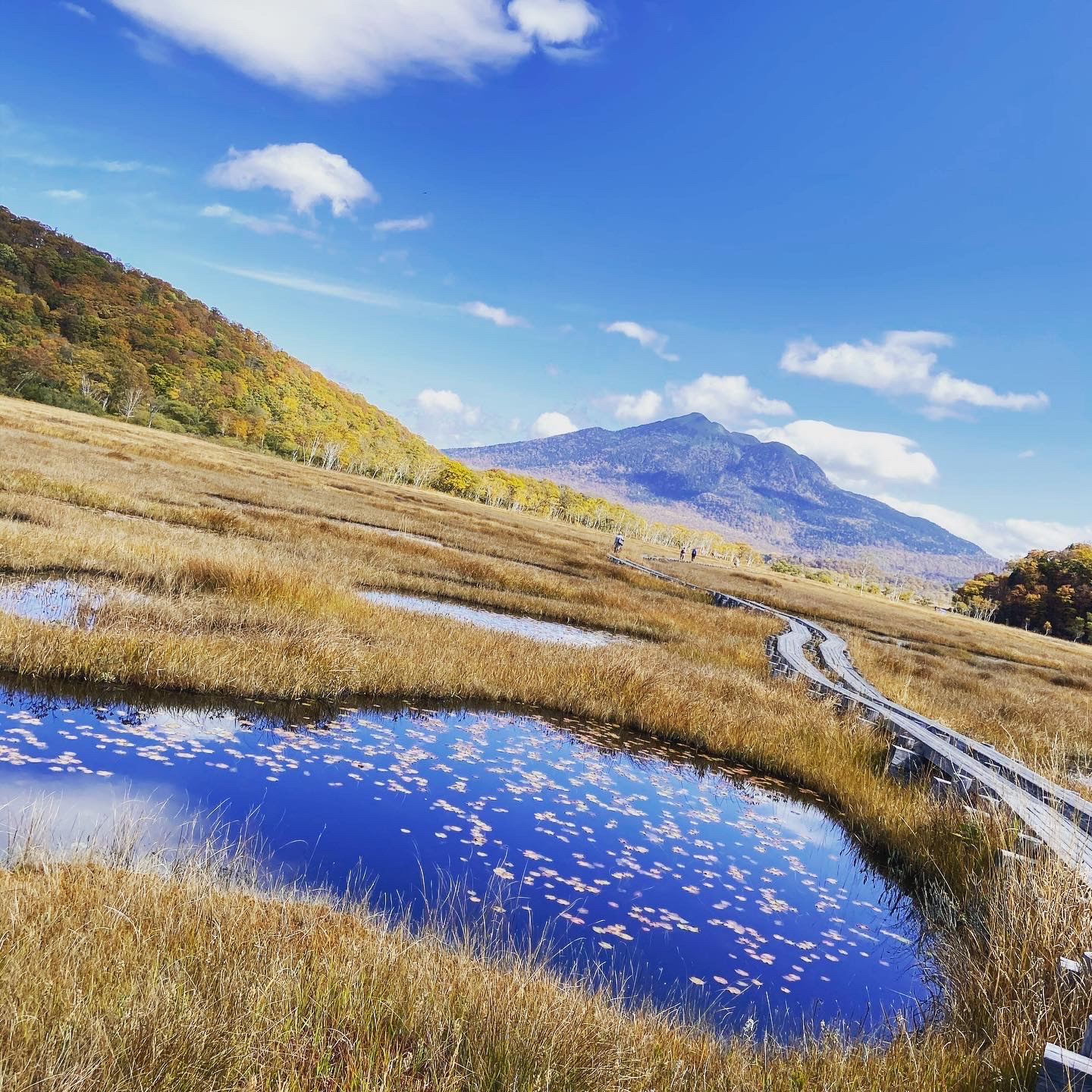 大自然を満喫してきました(*'ω'*)の画像