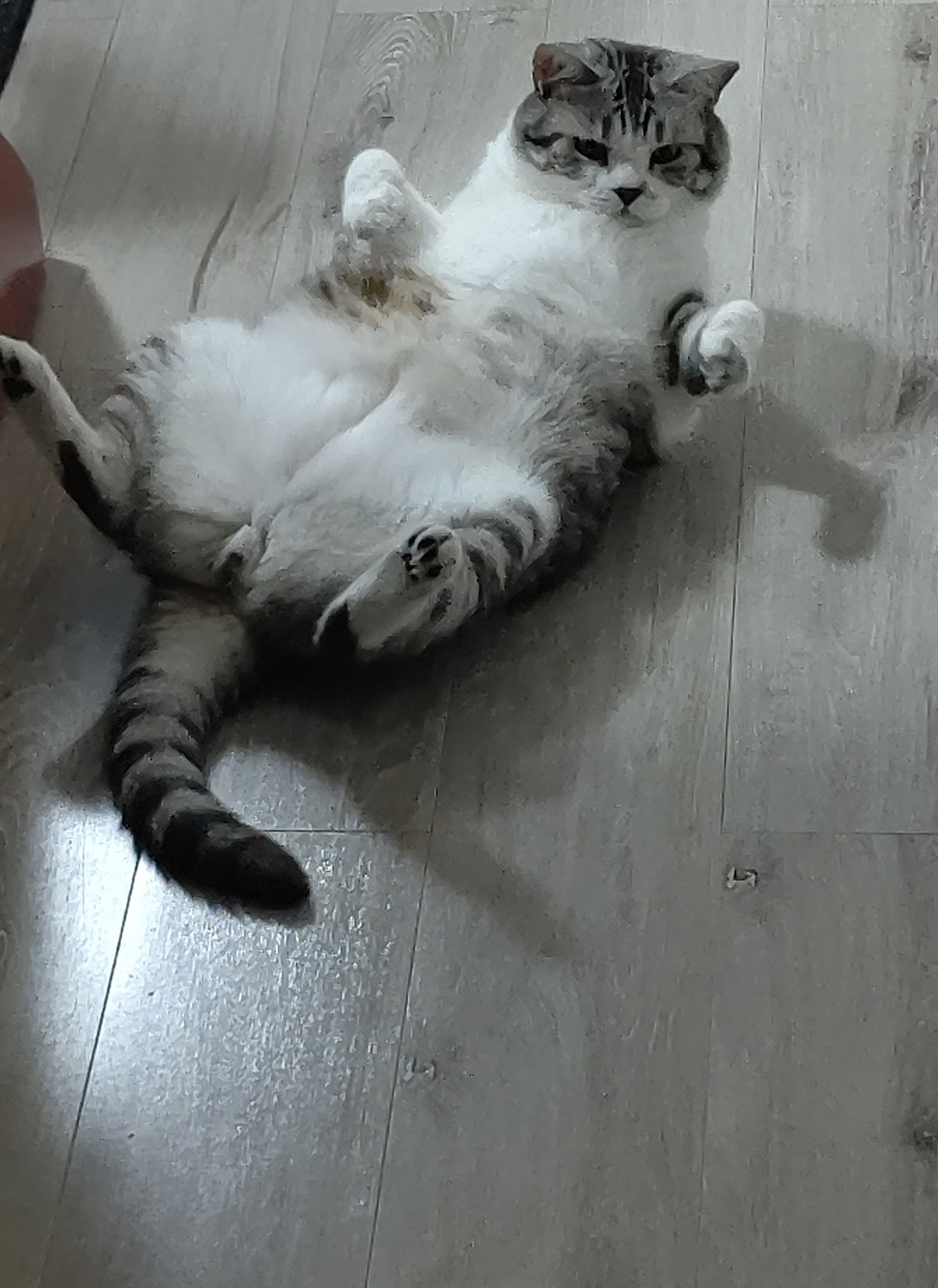 鍋の季節がやってきました！の画像