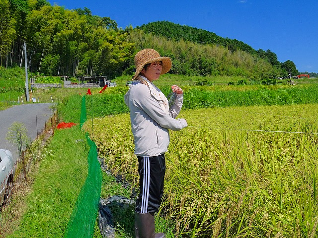 尼ヶ辻店　瀬川