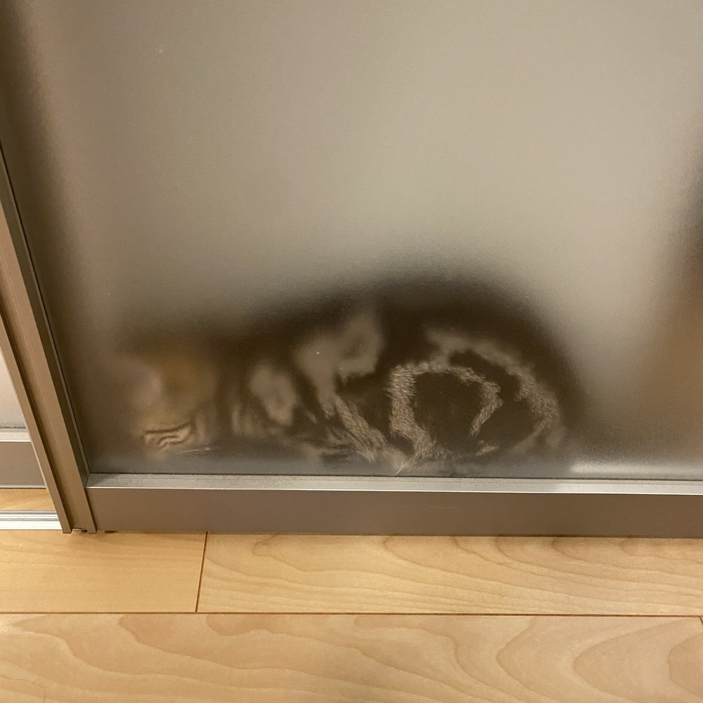 端っこの画像