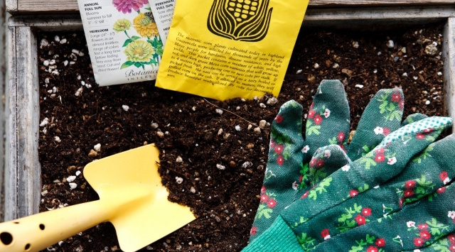 【賃貸の専用庭はどう使う？】癒し空間に家庭菜園。活用方法ご紹介！の画像