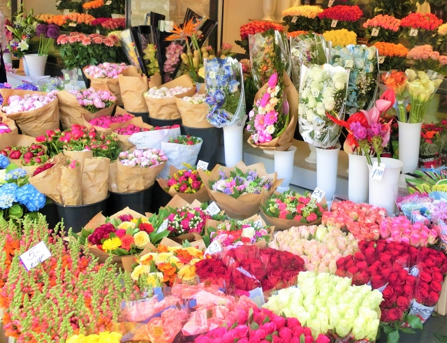 素敵にベランダガーデニング！東灘区でおすすめのお花屋さんをご紹介の画像