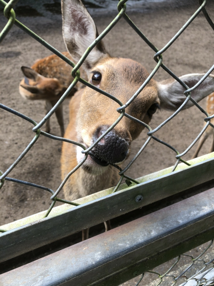 鹿嶋市　おすすめ　スポット♪の画像
