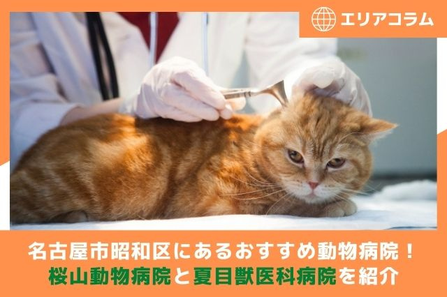 名古屋市昭和区にあるおすすめ動物病院！桜山動物病院と夏目獣医科病院を紹介の画像