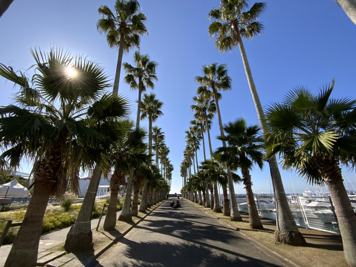 秋晴れの逗子マリーナ！　フォトジェニックポイントは女子にも人気♪の画像