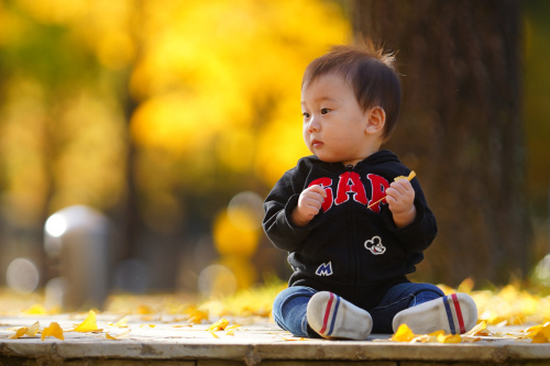 息子に初めての紅葉を見せてみたの画像