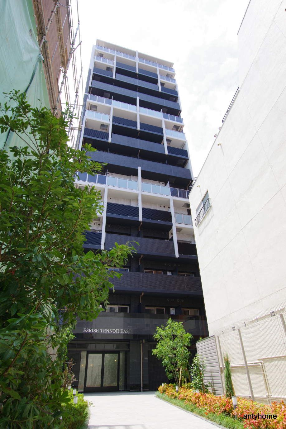 仲介手数料無料