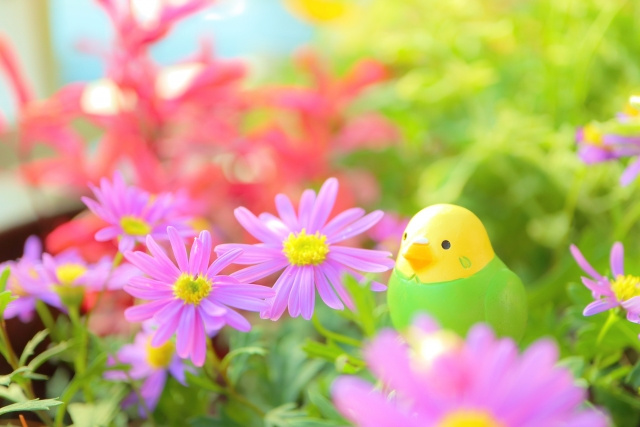 鶴ヶ島市にあるベランダガーデニングにおすすめの花屋の画像