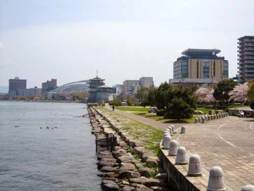 大津市の公園に出掛けよう ファミリーで楽しめるおすすめスポットを紹介 大阪市西区の不動産売却 もっこげん