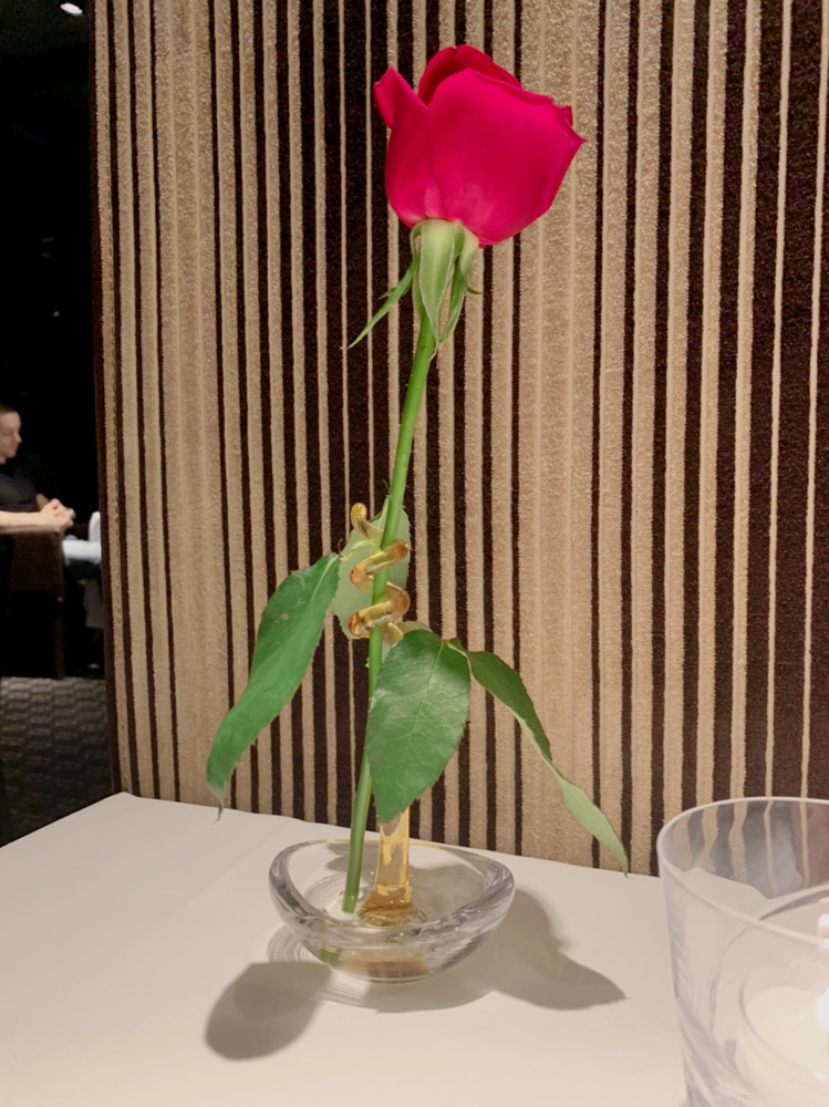 ばーすでぃの画像