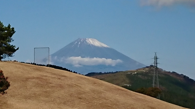 世界基準のシャロースイングの画像