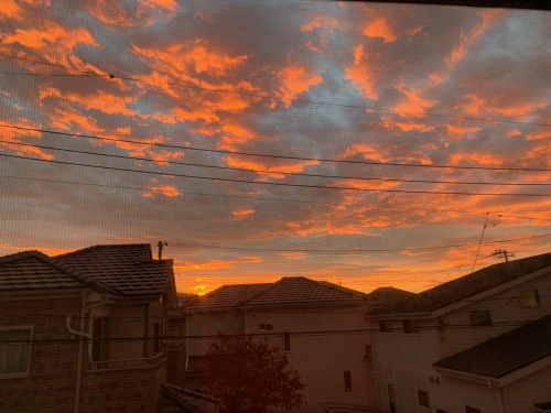朝焼けサンライズ。の画像