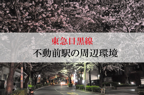 不動産屋が紹介する東急目黒線・不動前駅の街並みの画像