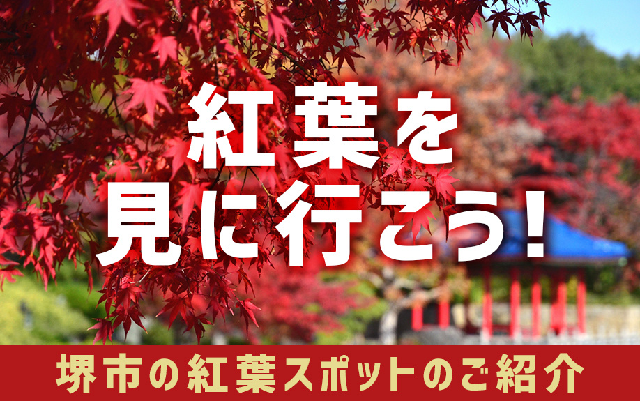 紅葉を見に行こう！堺市の紅葉スポットのご紹介です