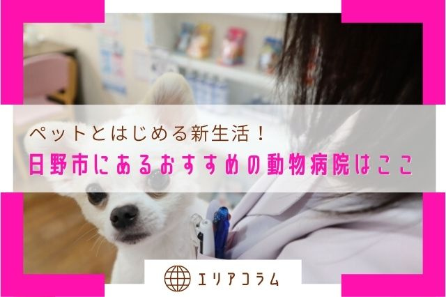 ペットとはじめる新生活！日野市にあるおすすめの動物病院はここの画像