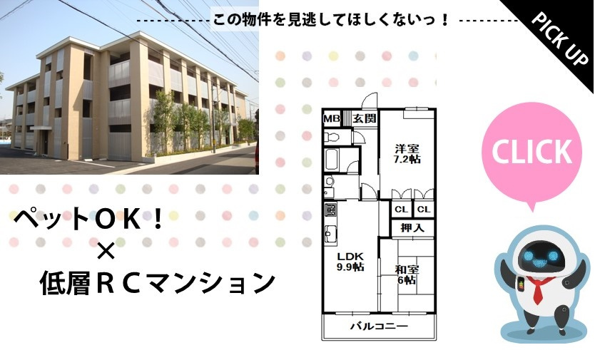 PICKUPの画像