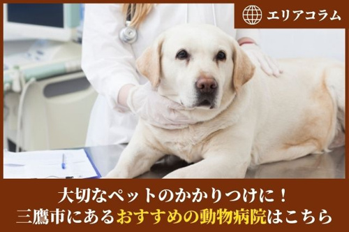 大切なペットのかかりつけに！三鷹市にあるおすすめの動物病院はこちら