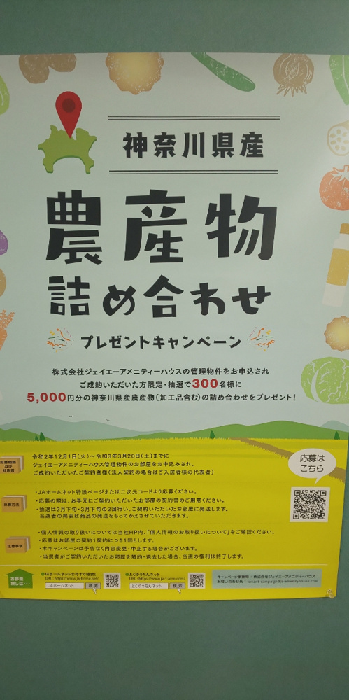 寒くなりましたね！の画像