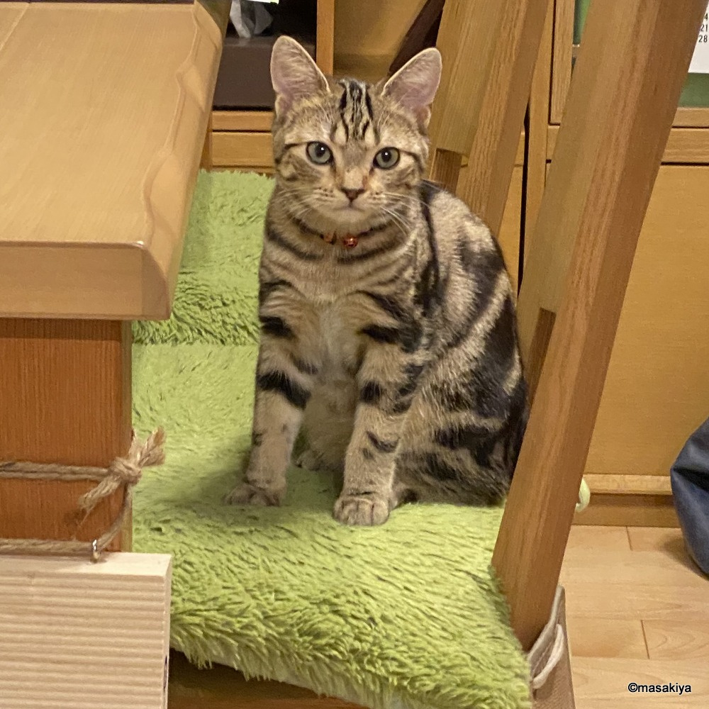 待ちの画像