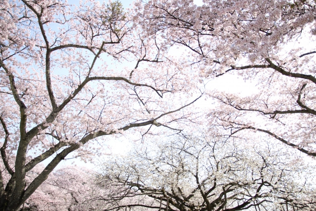 兵庫県加古川市の住みやすさを検証！治安や自然環境のよさが魅力のエリア