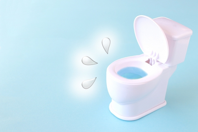 賃貸物件のトイレが水漏れ！そんなとき知っておきたい対処法とは？の画像
