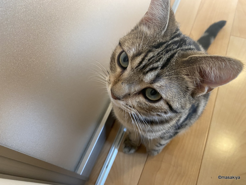 目は口ほどにの画像