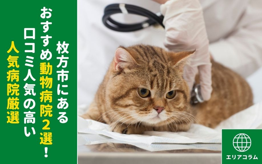 枚方市にあるおすすめ動物病院2選！口コミ人気の高い人気病院厳選