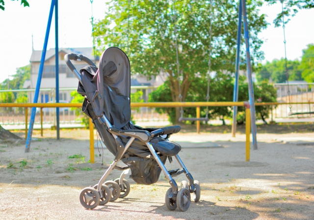 犬山市のふるさと納税の取り組みや寄附金の使い道についてご説明します