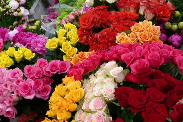 素敵なお花が手に入る！平井駅近くにあるおすすめの花屋2選の画像