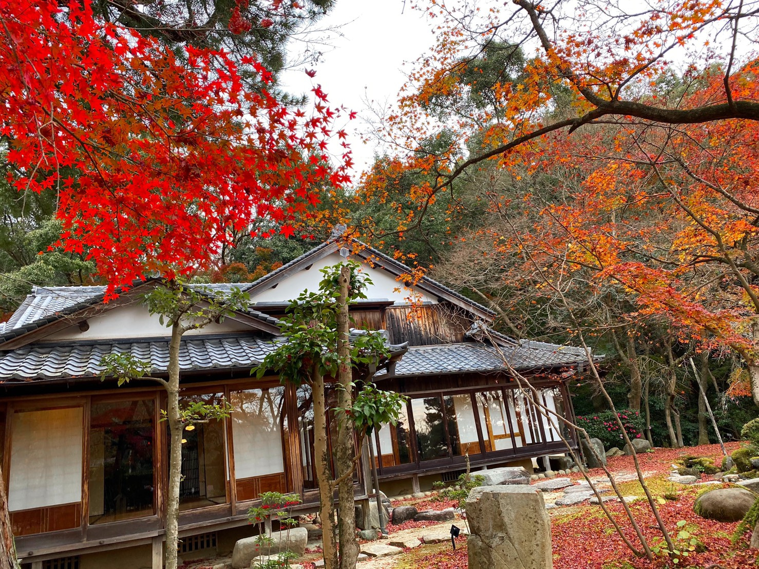 たつの市の画像