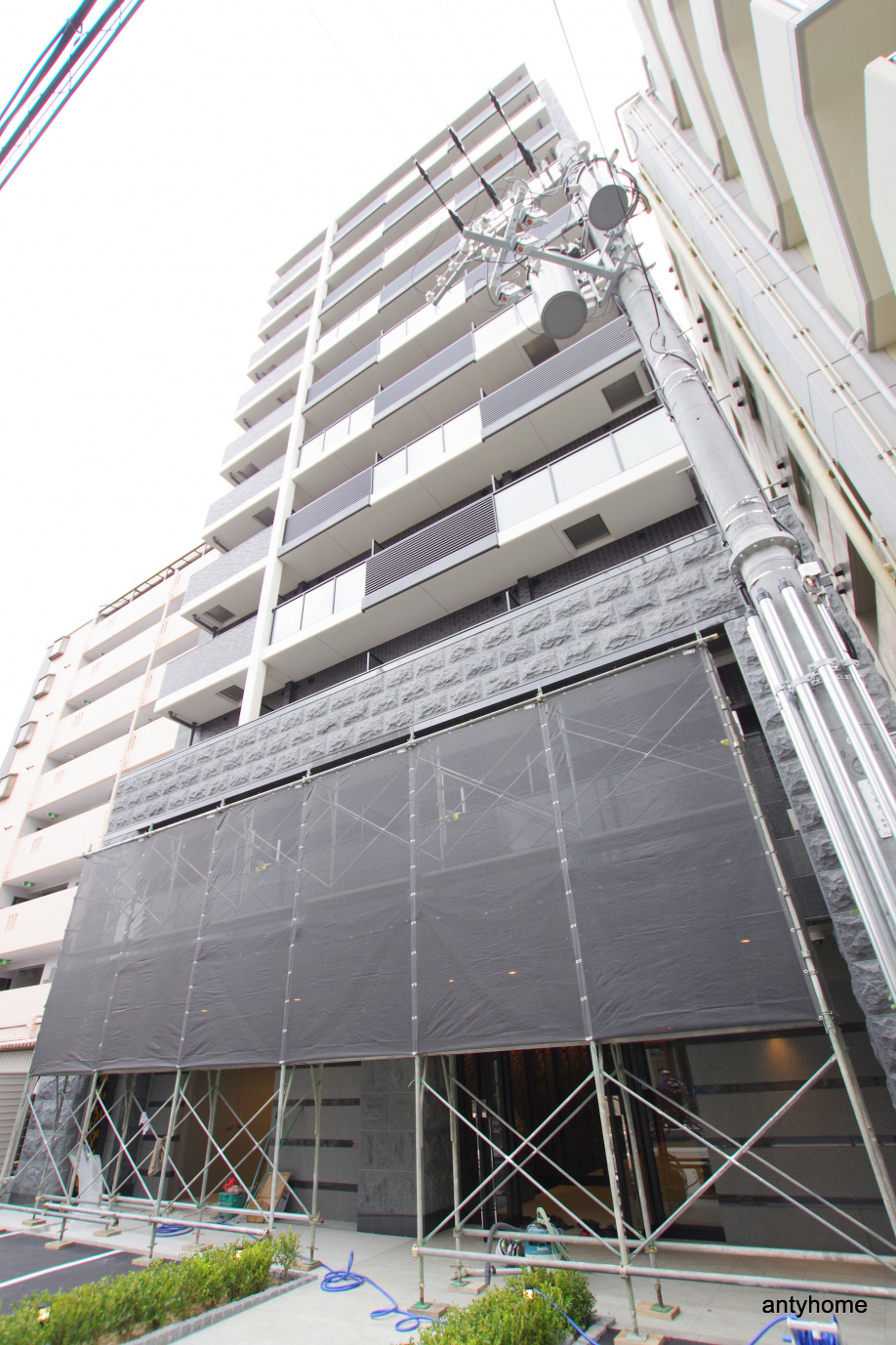 仲介手数料無料