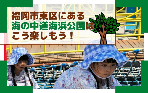 福岡市東区にある海の中道海浜公園はこう楽しもう！