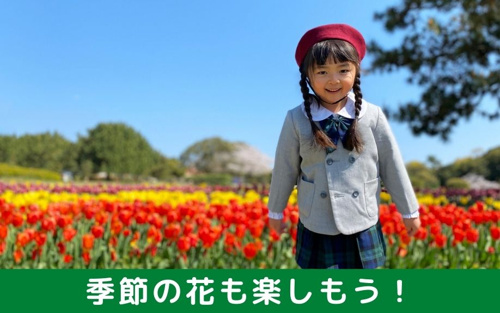 福岡市東区の海の中道海浜公園で季節の花も楽しもう！