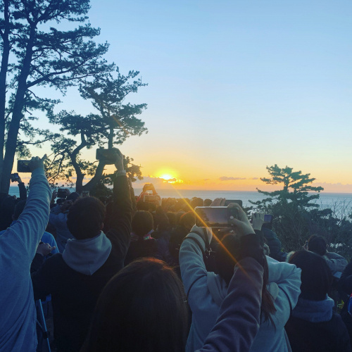 新年のご挨拶の画像