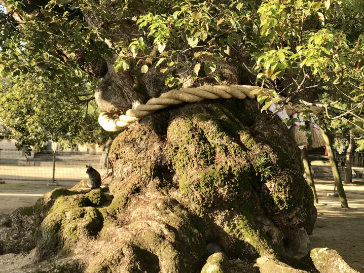 2021年　仕事始めの画像