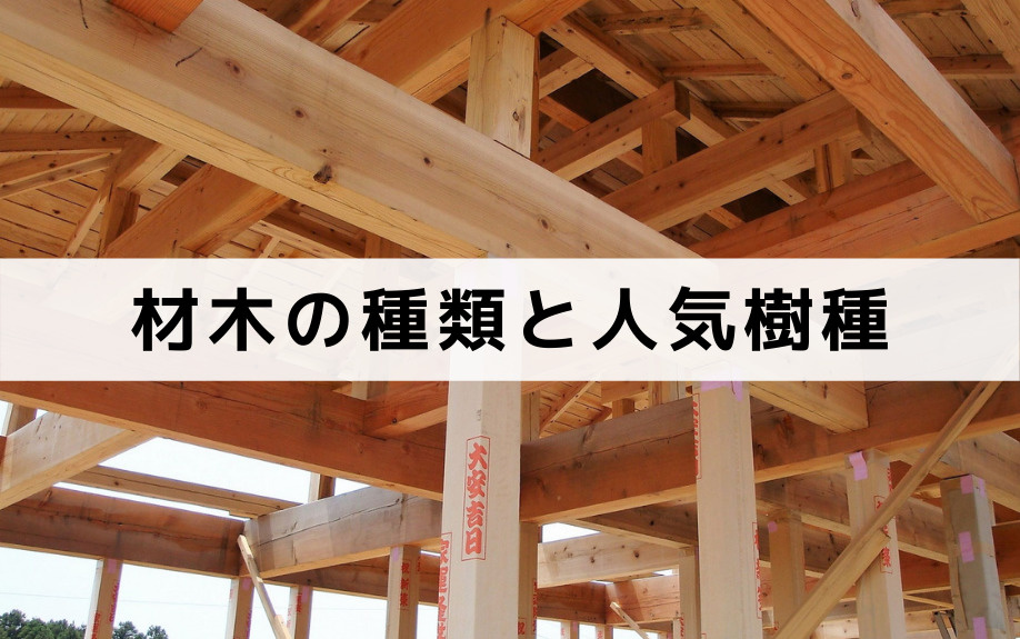 木造建築で使われる材木の種類と人気樹種のポイントを紹介