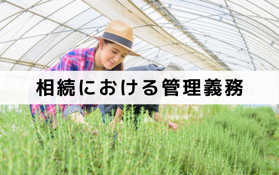 農地の相続における手続きや放棄した場合の管理義務