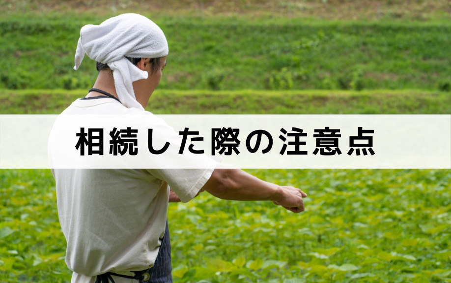 こんなときは放棄も視野に！農地を相続した際の注意点