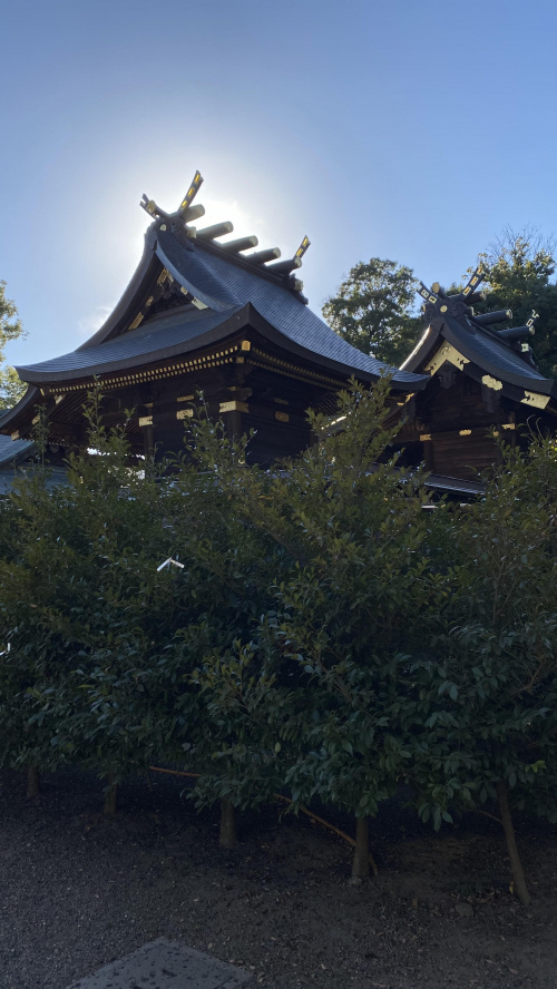 鳥居の画像