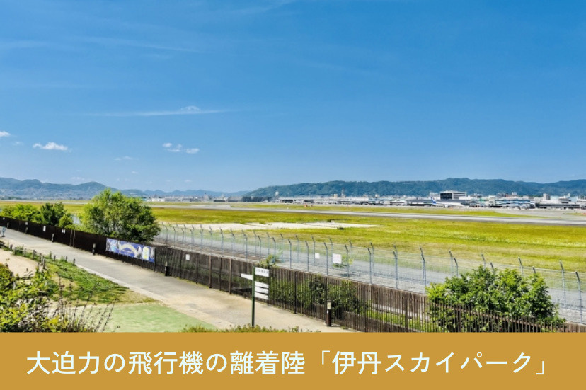 お子さんや航空機ファンに大人気の「伊丹スカイパーク」