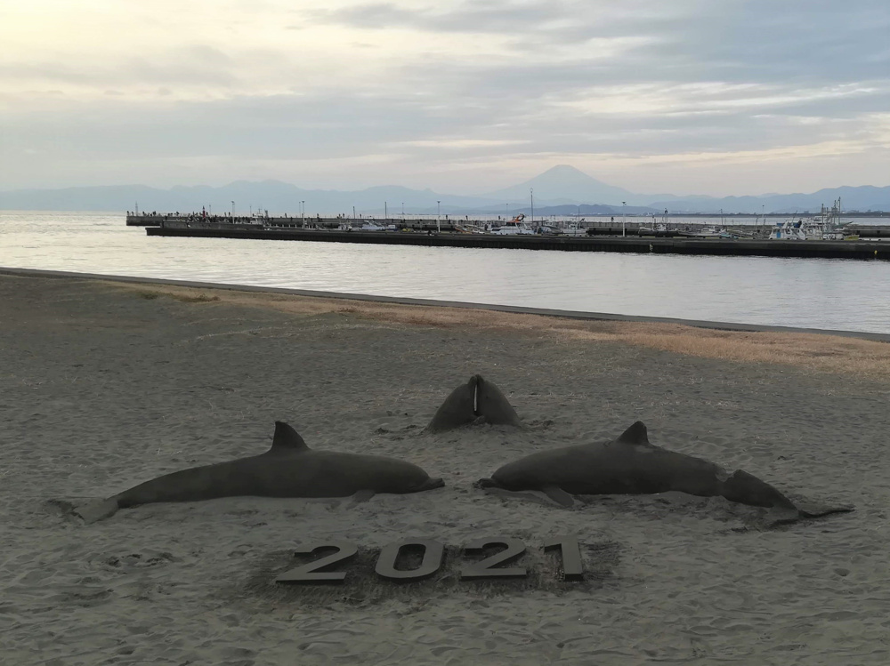 新年は江ノ島から（2021.1.12）の画像