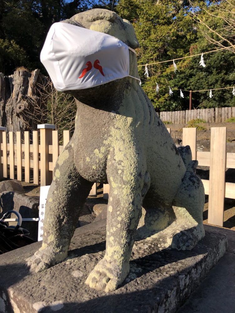 明けましてあめでとうございます。吉。の画像