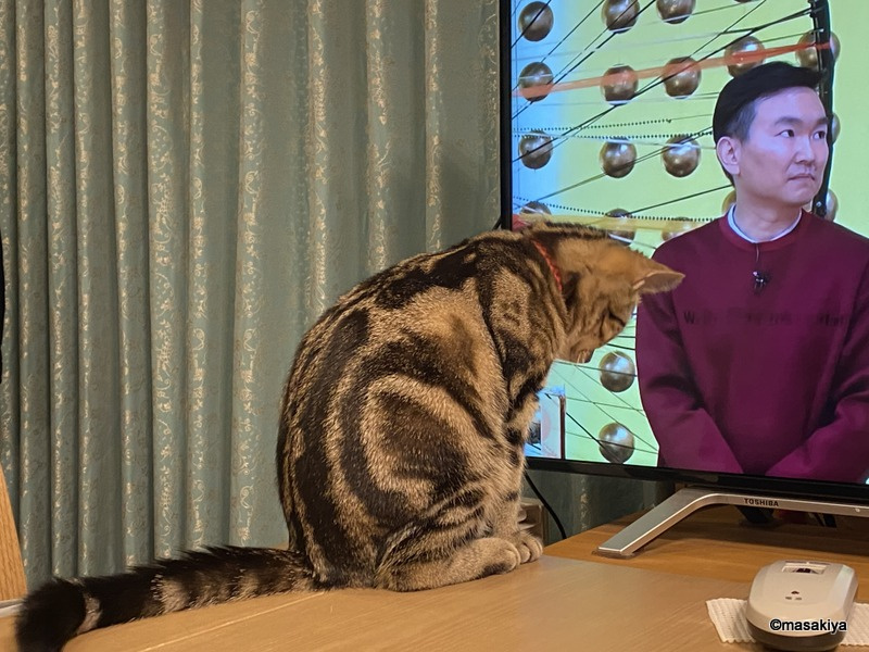 机の上の画像